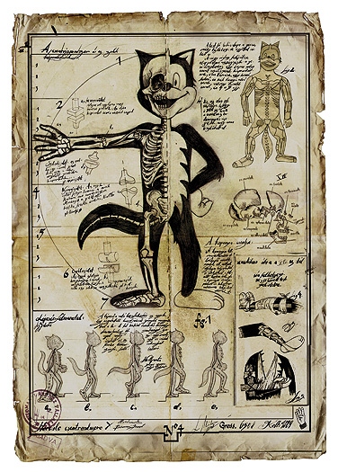 Anatómiai rajz