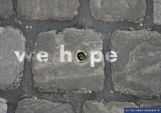We hope / Remélünk