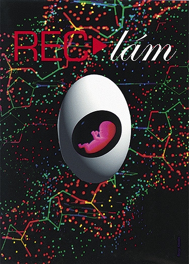 Rec-lm