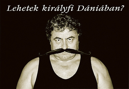 Lehetek kirlyfi Dniban?