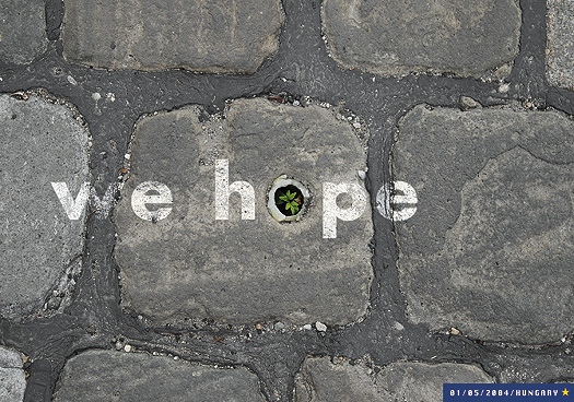 We hope / Remlnk
